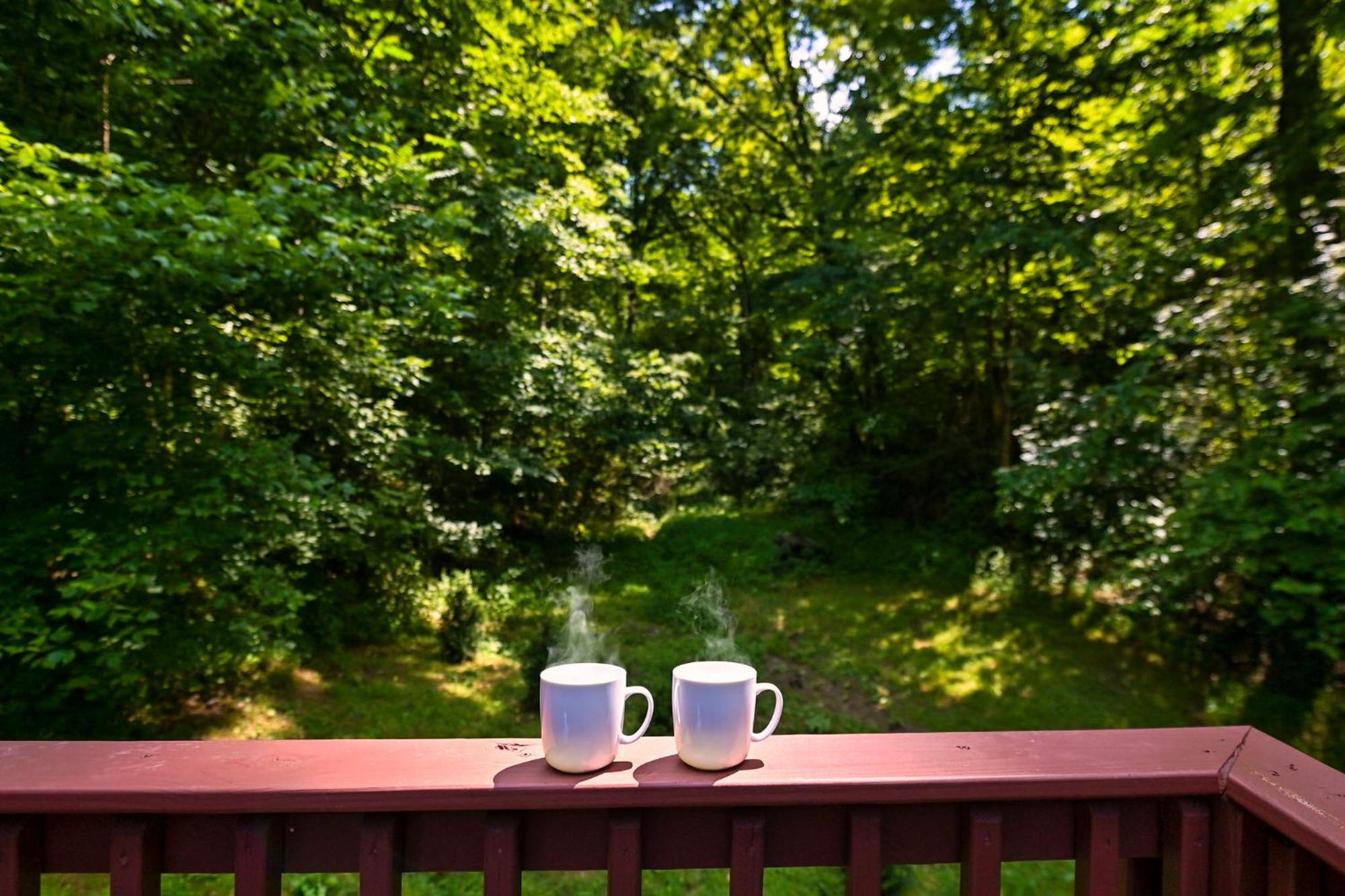 Smoky Mountains Hut Tub Cabin Dog Friendly Sevierville Eksteriør billede